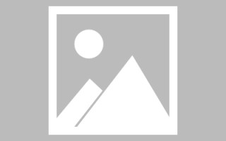 安徽如何制作报表小程序（如何制作报表小程序软件）